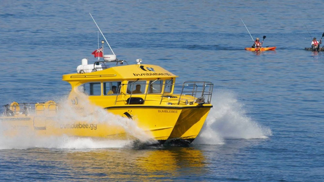 Bumblebee Boat Cruises